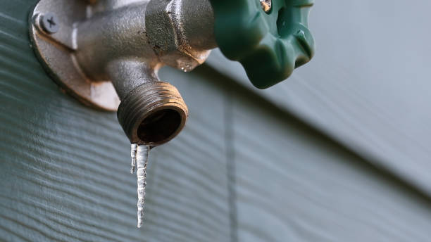 Best Shower Repair Services  in Dumont, NJ